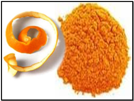 Manufacturers Exporters and Wholesale Suppliers of Orange peel Powder Sojat Rajasthan